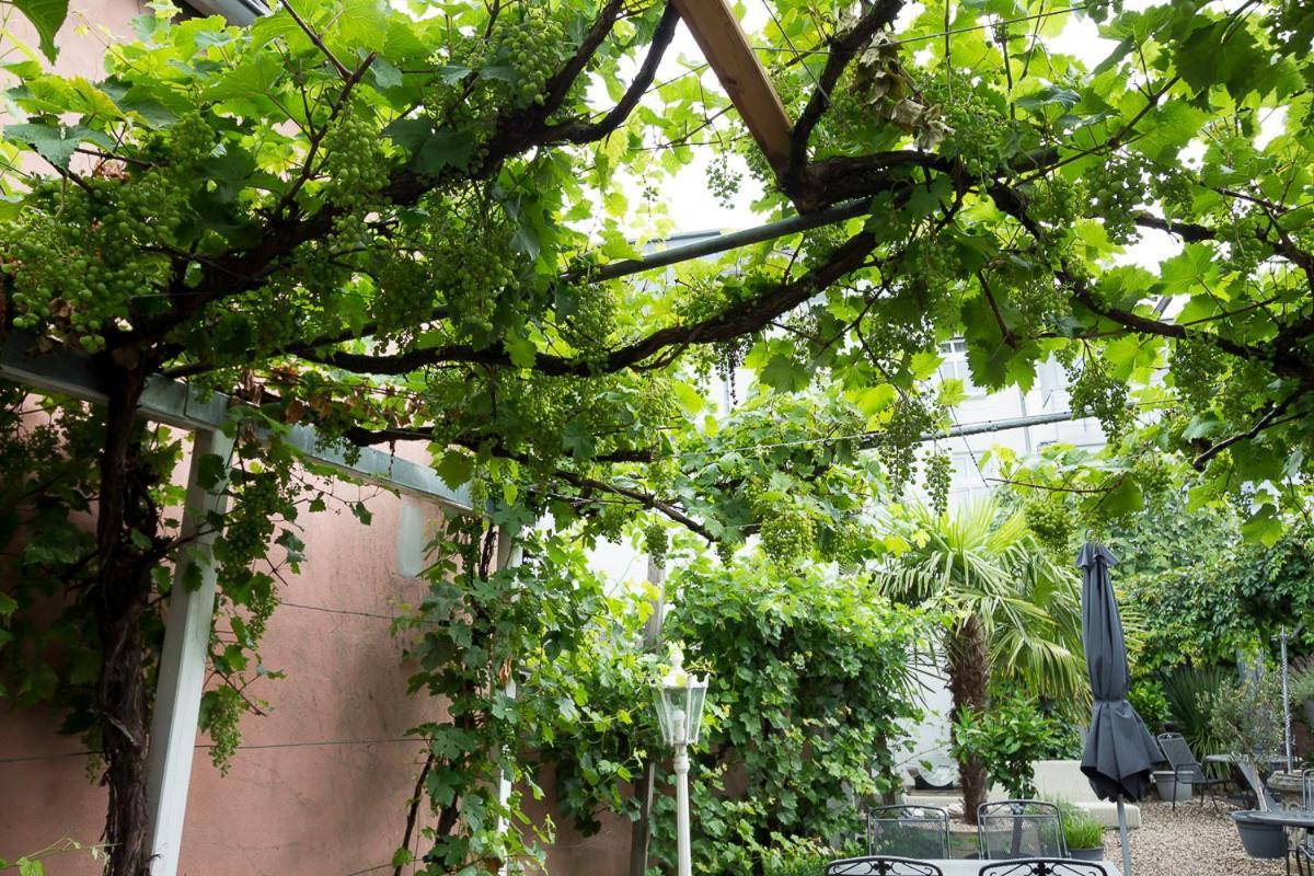 איסלבורג Hotel Garni Landhaus Zur Issel מראה חיצוני תמונה